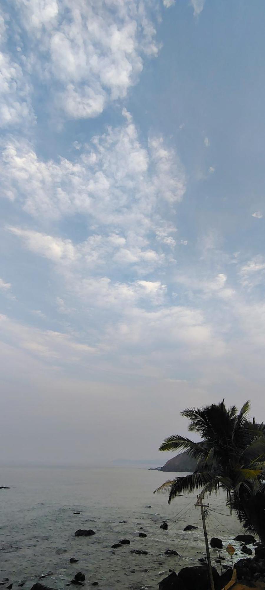 Sunny Cliff *