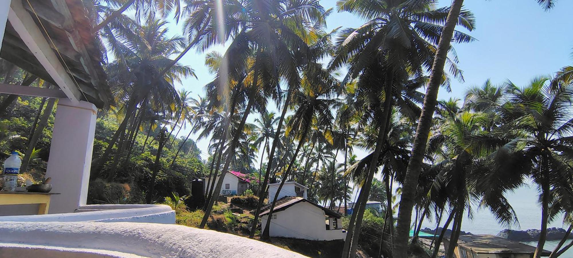 Sunny Cliff Arambol